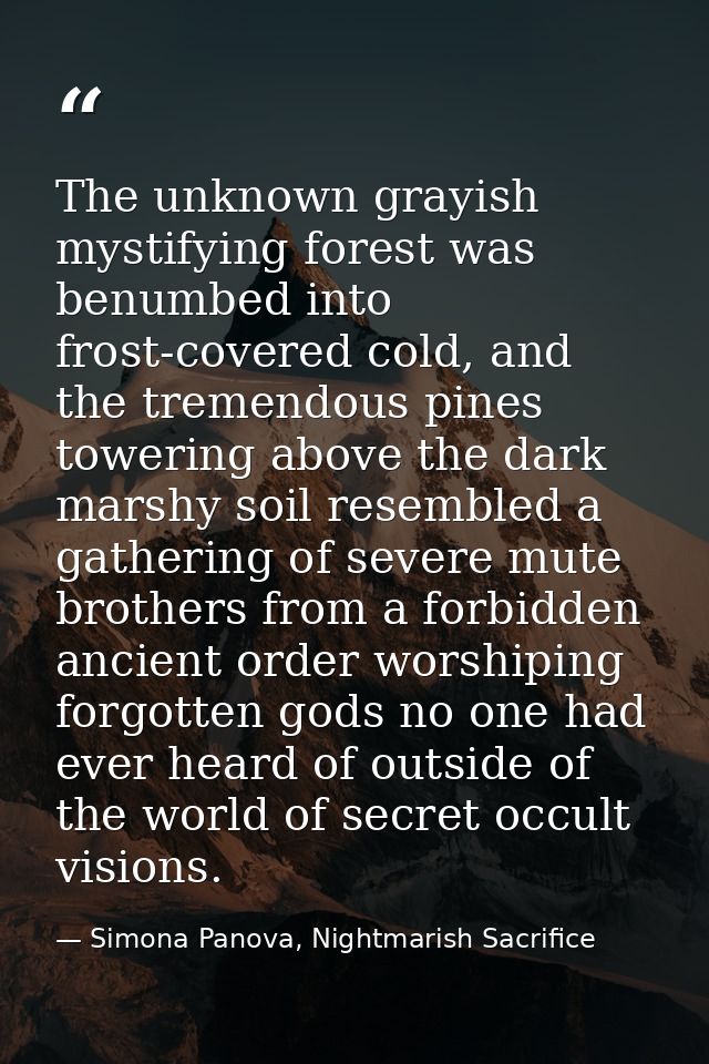 The unknown grayish mystifying forest was benumbed into frost-covered cold, and the tremendous pines towering above the  — Simona Panova, Nightmarish Sacrifice