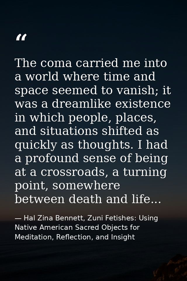 The coma carried me into a world where time and space seemed to vanish; it was a dreamlike existence in which people, pl — Hal Zina Bennett, Zuni Fetishes: Using Native American Sacred Objects for Meditation, Reflection, and Insight