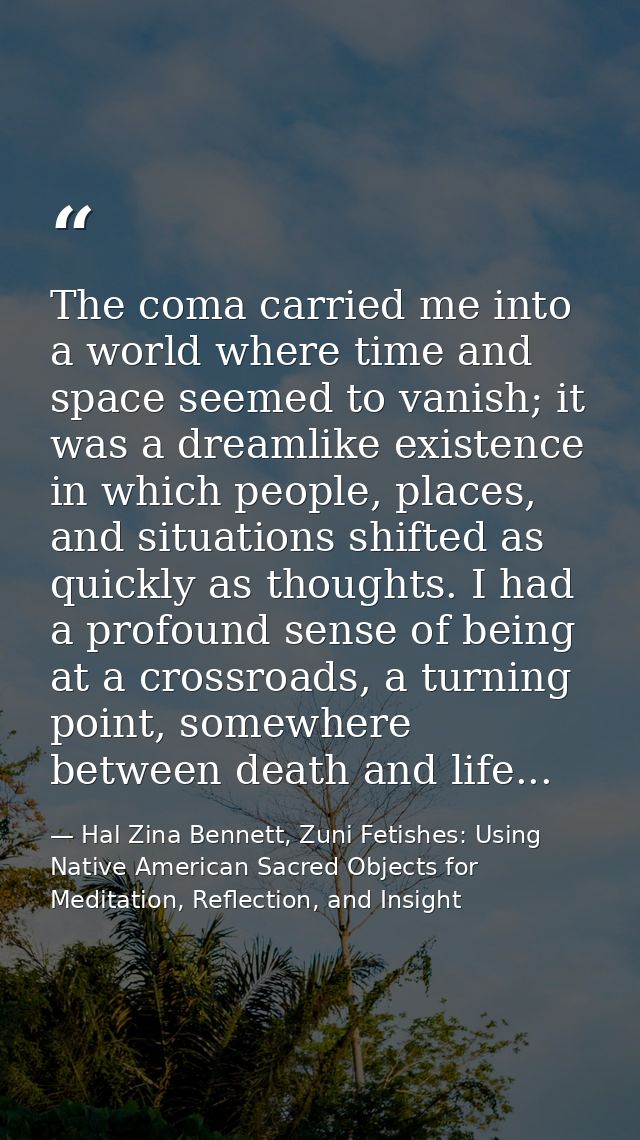 The coma carried me into a world where time and space seemed to vanish; it was a dreamlike existence in which people, pl — Hal Zina Bennett, Zuni Fetishes: Using Native American Sacred Objects for Meditation, Reflection, and Insight