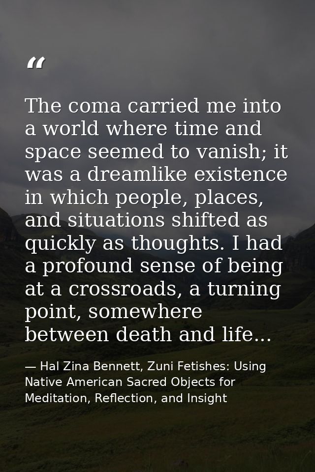 The coma carried me into a world where time and space seemed to vanish; it was a dreamlike existence in which people, pl — Hal Zina Bennett, Zuni Fetishes: Using Native American Sacred Objects for Meditation, Reflection, and Insight