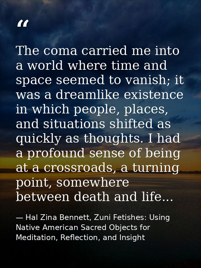 The coma carried me into a world where time and space seemed to vanish; it was a dreamlike existence in which people, pl — Hal Zina Bennett, Zuni Fetishes: Using Native American Sacred Objects for Meditation, Reflection, and Insight
