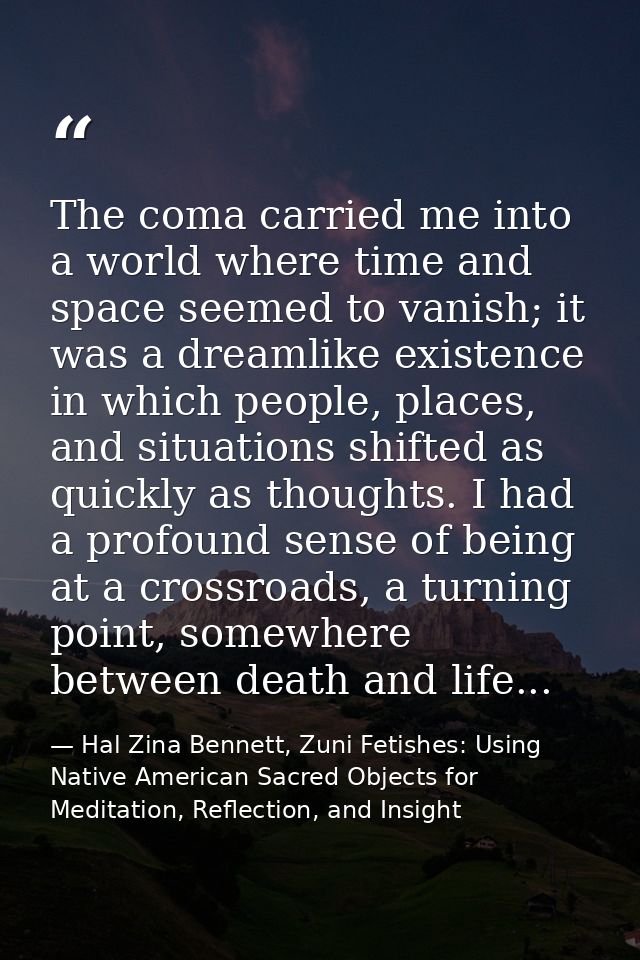 The coma carried me into a world where time and space seemed to vanish; it was a dreamlike existence in which people, pl — Hal Zina Bennett, Zuni Fetishes: Using Native American Sacred Objects for Meditation, Reflection, and Insight