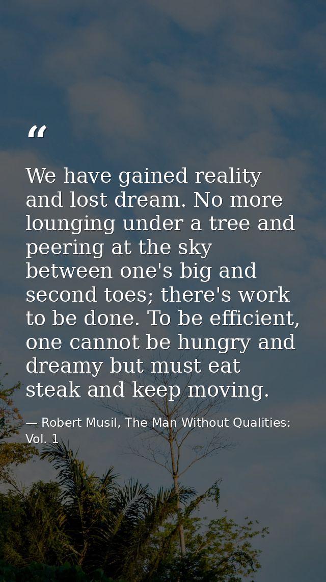 We have gained reality and lost dream. No more lounging under a tree and peering at the sky between one's big and second — Robert Musil, The Man Without Qualities: Vol. 1