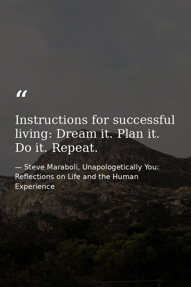 Instructions for successful living: Dream it. Plan it. Do it. Repeat. — Steve Maraboli, Unapologetically You: Reflections on Life and the Human Experience