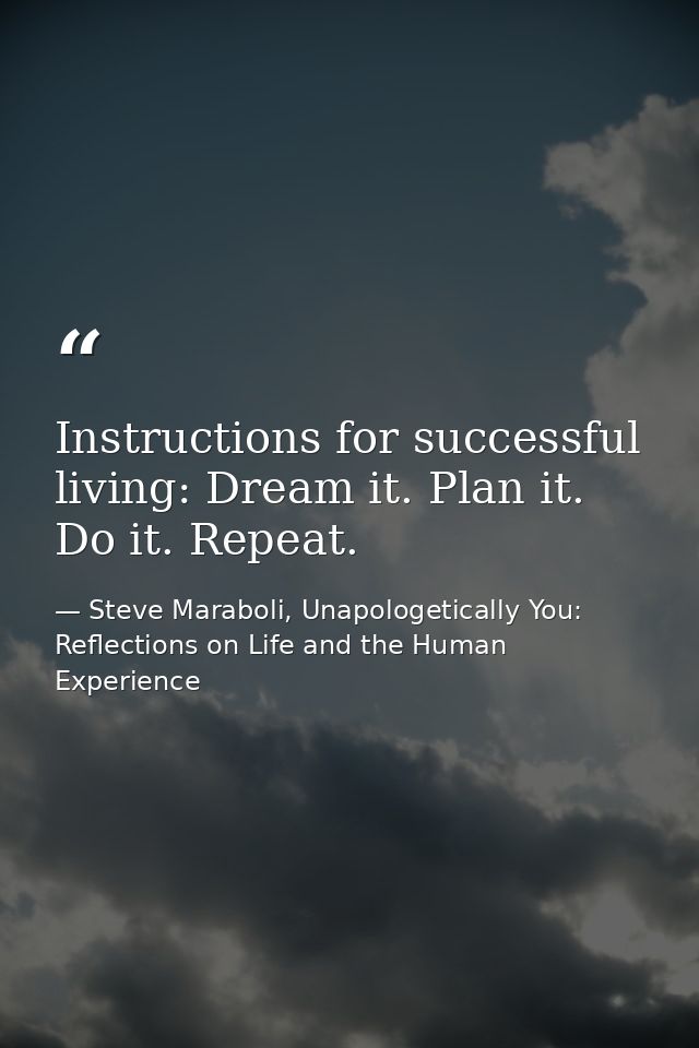 Instructions for successful living: Dream it. Plan it. Do it. Repeat. — Steve Maraboli, Unapologetically You: Reflections on Life and the Human Experience
