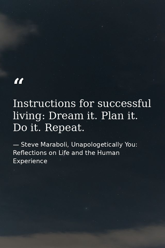 Instructions for successful living: Dream it. Plan it. Do it. Repeat. — Steve Maraboli, Unapologetically You: Reflections on Life and the Human Experience