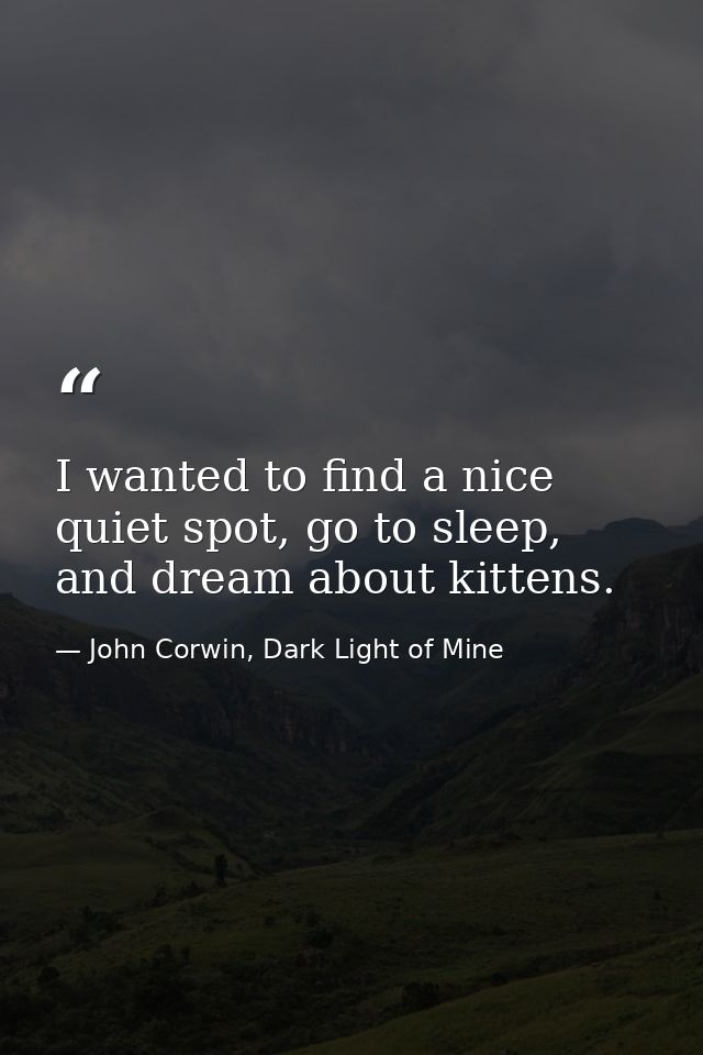 I wanted to find a nice quiet spot, go to sleep, and dream about kittens. — John Corwin, Dark Light of Mine