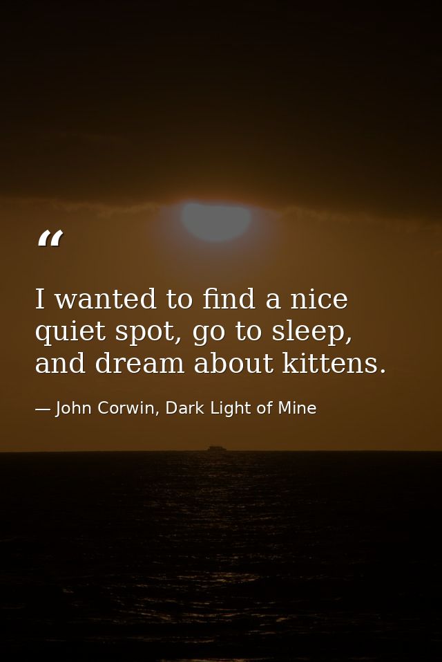 I wanted to find a nice quiet spot, go to sleep, and dream about kittens. — John Corwin, Dark Light of Mine