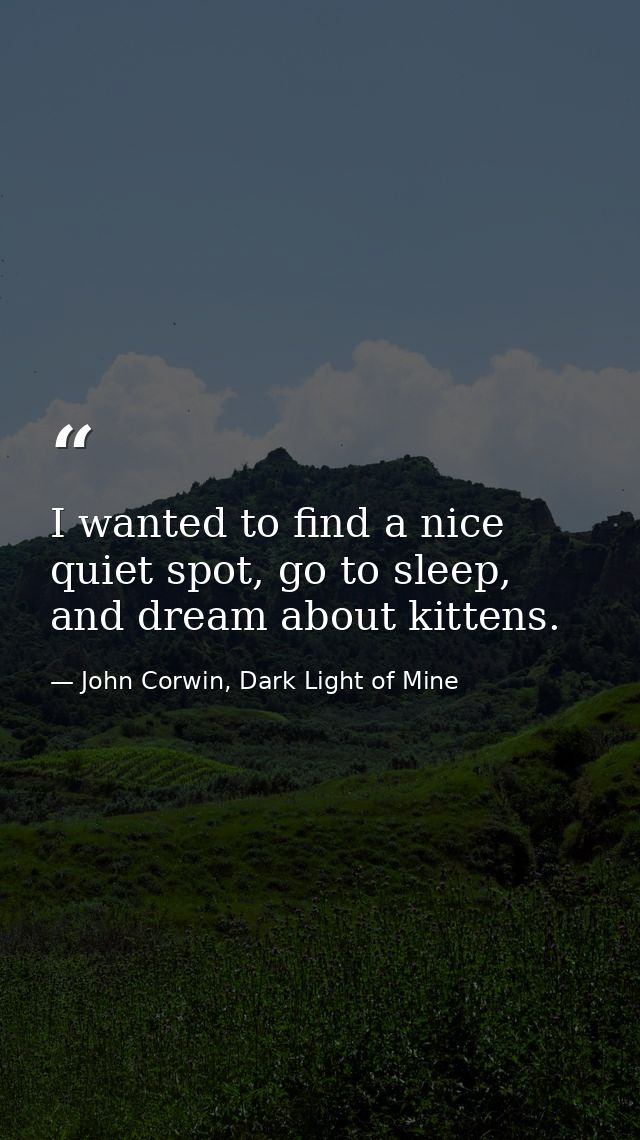 I wanted to find a nice quiet spot, go to sleep, and dream about kittens. — John Corwin, Dark Light of Mine