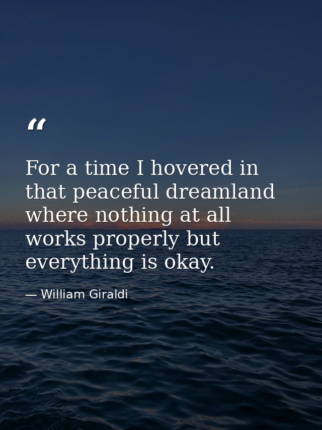 For a time I hovered in that peaceful dreamland where nothing at all works properly but everything is okay. — William Giraldi