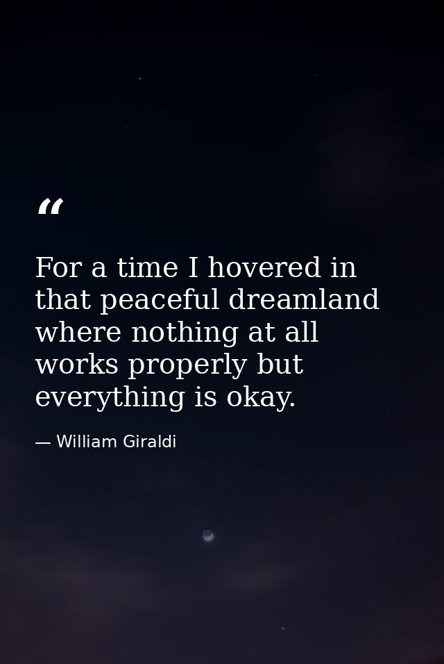 For a time I hovered in that peaceful dreamland where nothing at all works properly but everything is okay. — William Giraldi