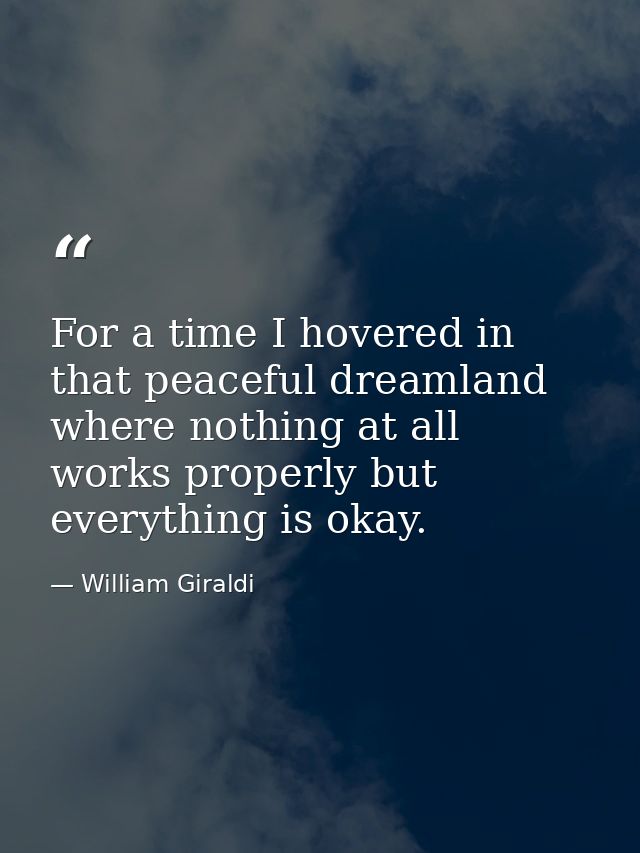 For a time I hovered in that peaceful dreamland where nothing at all works properly but everything is okay. — William Giraldi