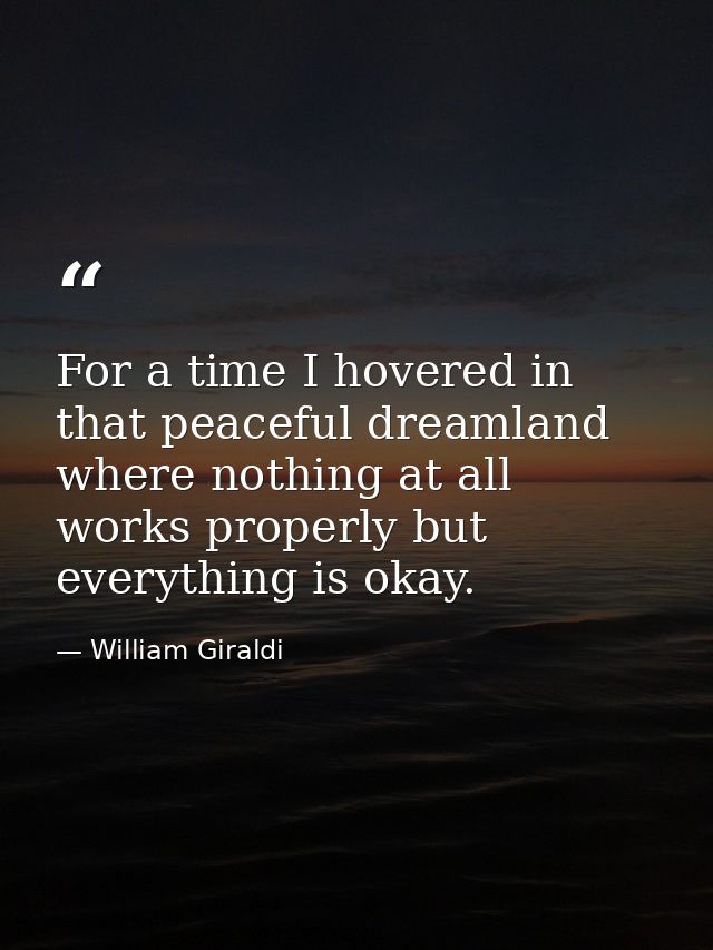 For a time I hovered in that peaceful dreamland where nothing at all works properly but everything is okay. — William Giraldi