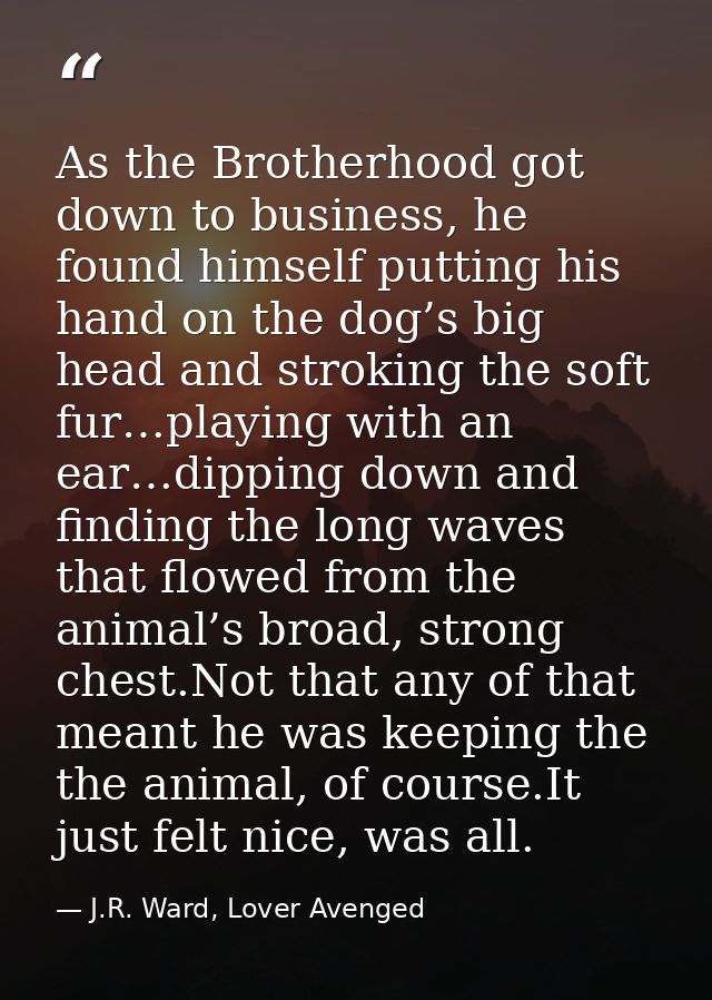 As the Brotherhood got down to business, he found himself putting his hand on the dog’s big head and stroking the soft f — J.R. Ward, Lover Avenged