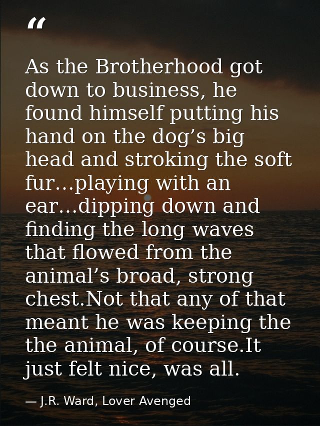 As the Brotherhood got down to business, he found himself putting his hand on the dog’s big head and stroking the soft f — J.R. Ward, Lover Avenged