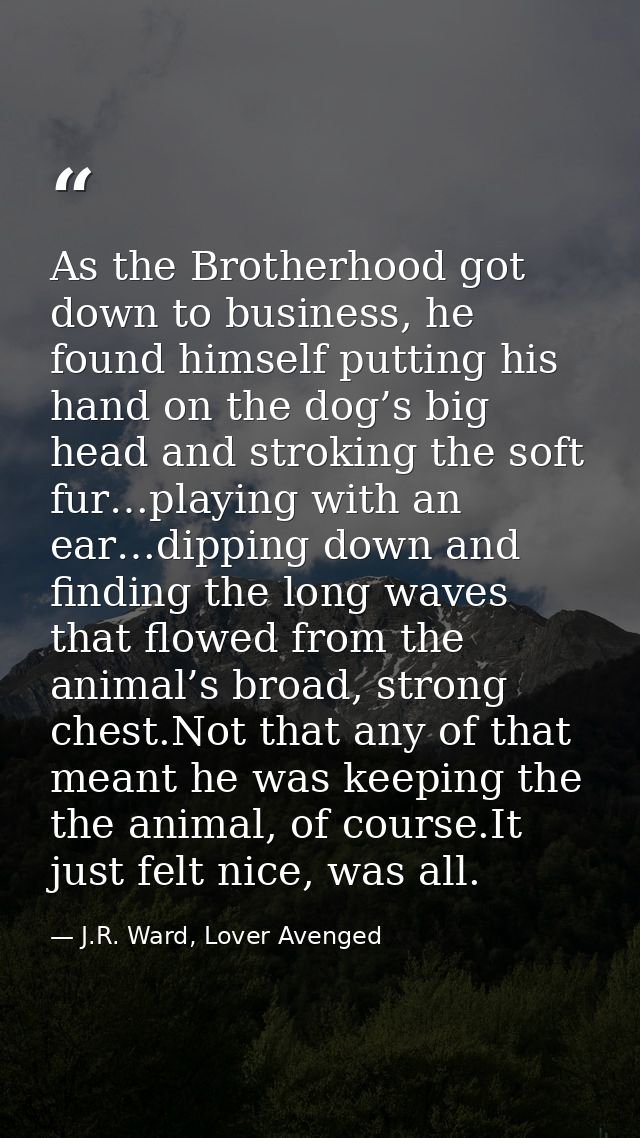 As the Brotherhood got down to business, he found himself putting his hand on the dog’s big head and stroking the soft f — J.R. Ward, Lover Avenged