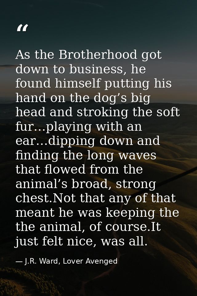 As the Brotherhood got down to business, he found himself putting his hand on the dog’s big head and stroking the soft f — J.R. Ward, Lover Avenged