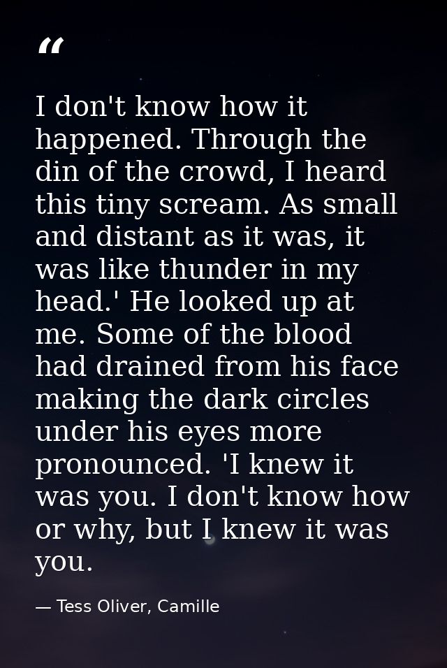 I don't know how it happened. Through the din of the crowd, I heard this tiny scream. As small and distant as it was, it — Tess Oliver, Camille