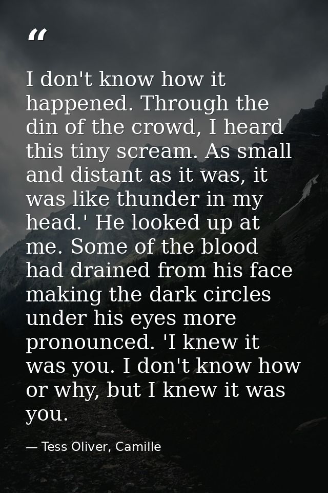 I don't know how it happened. Through the din of the crowd, I heard this tiny scream. As small and distant as it was, it — Tess Oliver, Camille