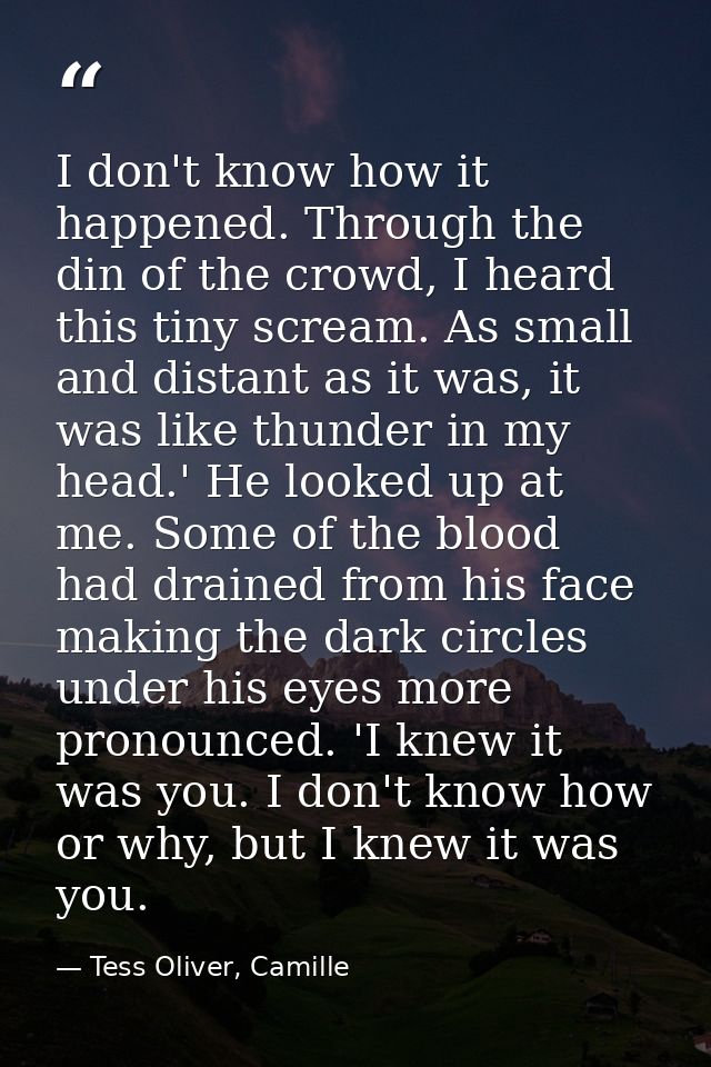 I don't know how it happened. Through the din of the crowd, I heard this tiny scream. As small and distant as it was, it — Tess Oliver, Camille