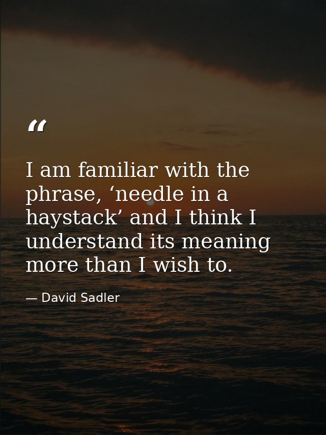 I am familiar with the phrase, ‘needle in a haystack’ and I think I understand its meaning more than I wish to. — David Sadler