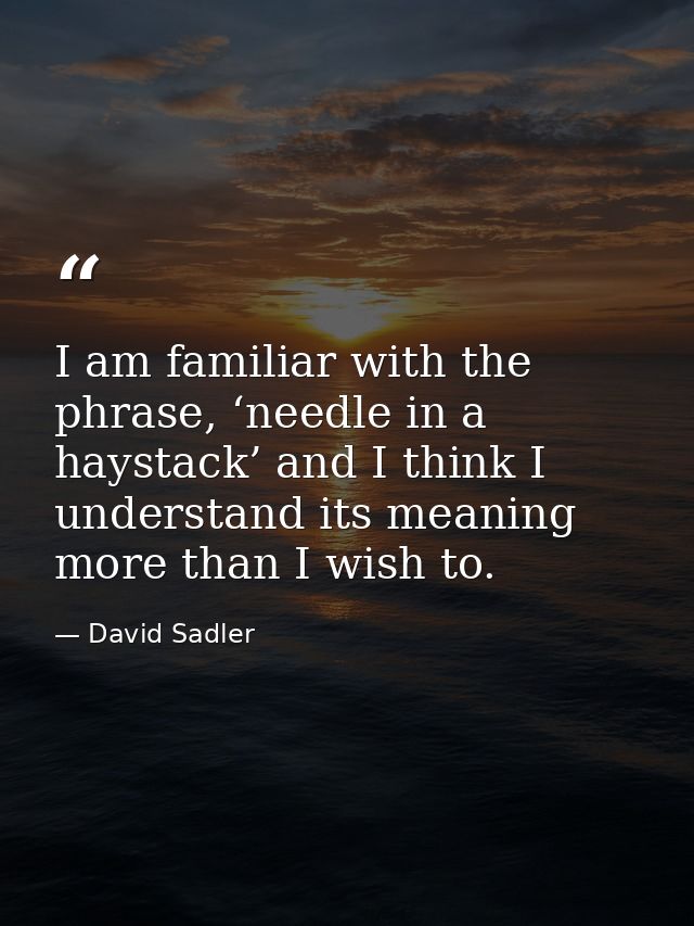 I am familiar with the phrase, ‘needle in a haystack’ and I think I understand its meaning more than I wish to. — David Sadler