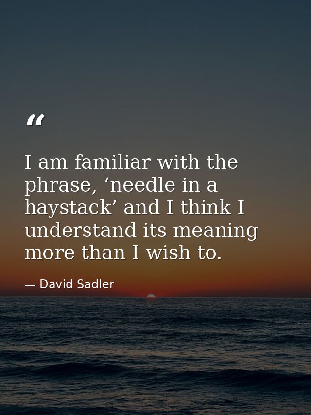 I am familiar with the phrase, ‘needle in a haystack’ and I think I understand its meaning more than I wish to. — David Sadler