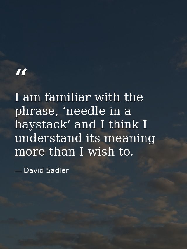 I am familiar with the phrase, ‘needle in a haystack’ and I think I understand its meaning more than I wish to. — David Sadler