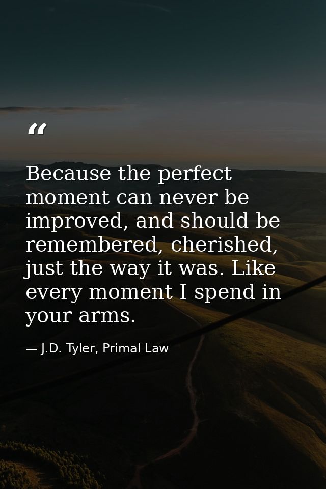 Because the perfect moment can never be improved, and should be remembered, cherished, just the way it was. Like every m — J.D. Tyler, Primal Law