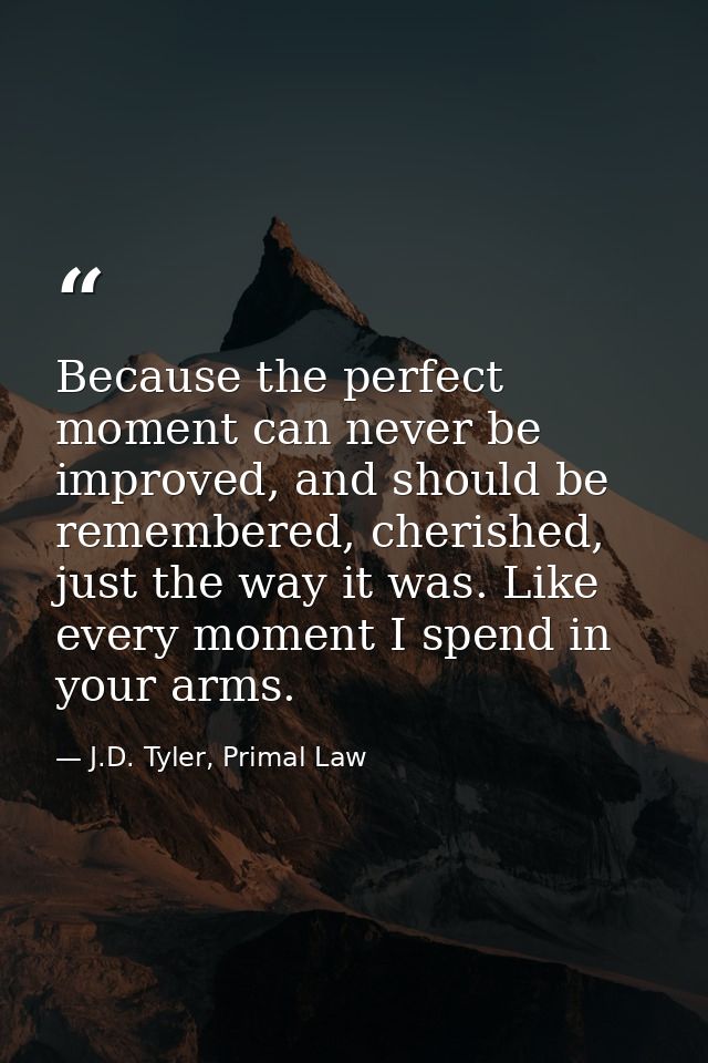 Because the perfect moment can never be improved, and should be remembered, cherished, just the way it was. Like every m — J.D. Tyler, Primal Law