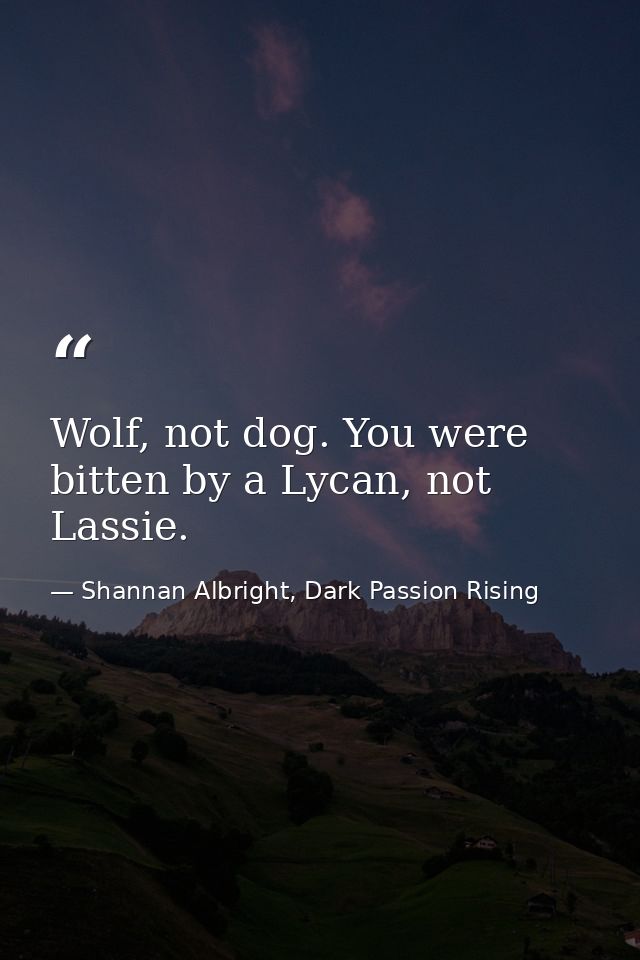 Wolf, not dog. You were bitten by a Lycan, not Lassie. — Shannan Albright, Dark Passion Rising