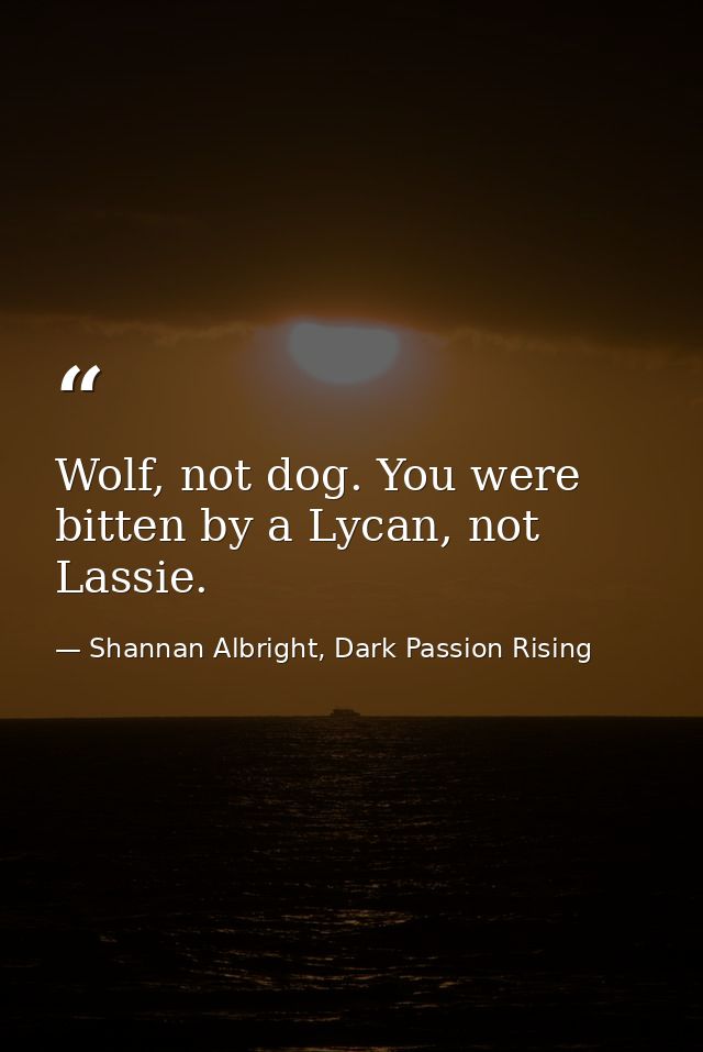 Wolf, not dog. You were bitten by a Lycan, not Lassie. — Shannan Albright, Dark Passion Rising