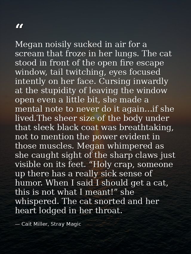 Megan noisily sucked in air for a scream that froze in her lungs. The cat stood in front of the open fire escape window, — Cait Miller, Stray Magic