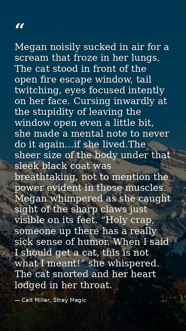 Megan noisily sucked in air for a scream that froze in her lungs. The cat stood in front of the open fire escape window, — Cait Miller, Stray Magic