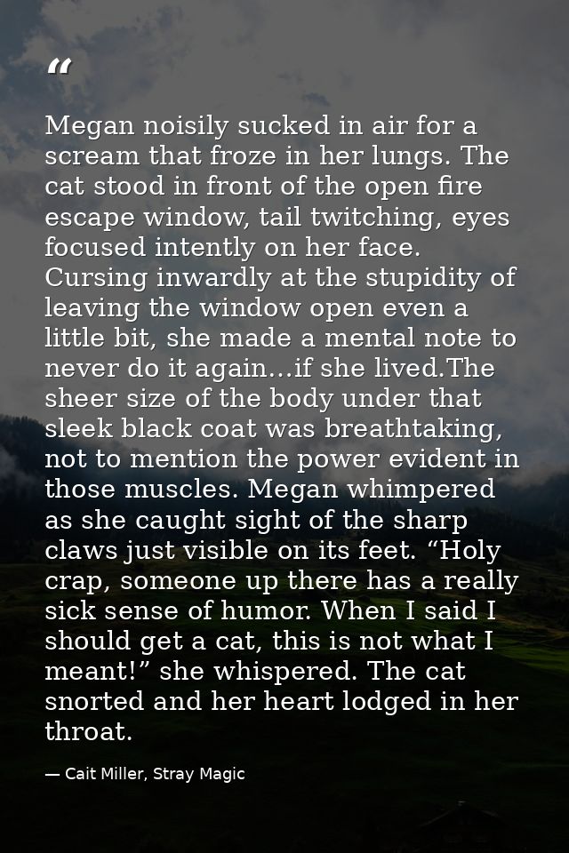 Megan noisily sucked in air for a scream that froze in her lungs. The cat stood in front of the open fire escape window, — Cait Miller, Stray Magic