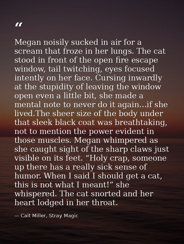 Megan noisily sucked in air for a scream that froze in her lungs. The cat stood in front of the open fire escape window, — Cait Miller, Stray Magic