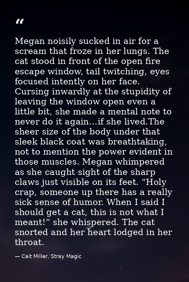 Megan noisily sucked in air for a scream that froze in her lungs. The cat stood in front of the open fire escape window, — Cait Miller, Stray Magic