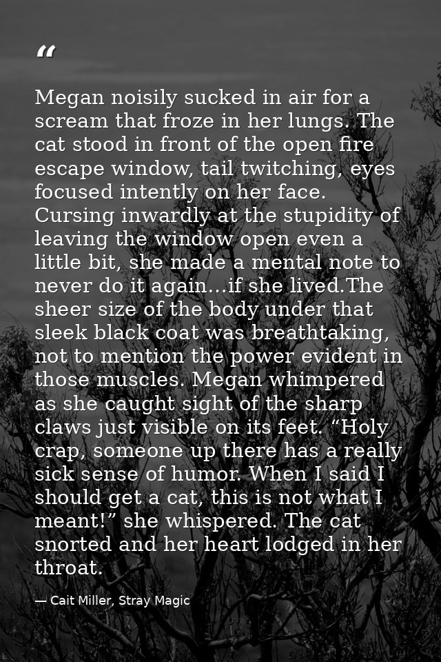 Megan noisily sucked in air for a scream that froze in her lungs. The cat stood in front of the open fire escape window, — Cait Miller, Stray Magic