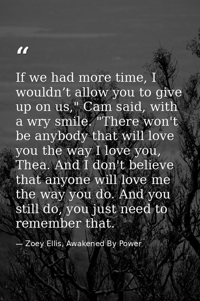 If we had more time, I wouldn’t allow you to give up on us," Cam said, with a wry smile. "There won't be anybody that wi — Zoey Ellis, Awakened By Power
