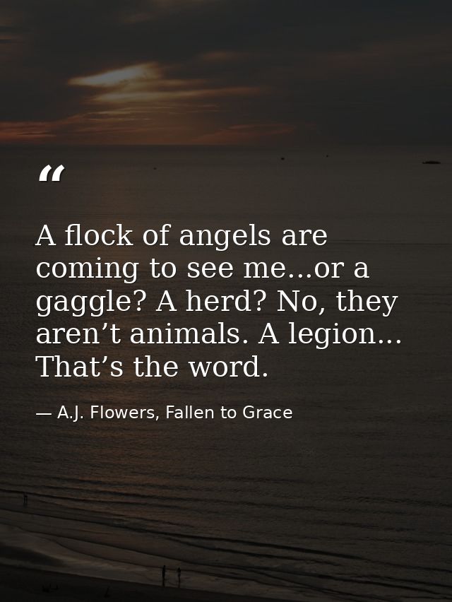 A flock of angels are coming to see me...or a gaggle? A herd? No, they aren’t animals. A legion... That’s the word. — A.J. Flowers, Fallen to Grace