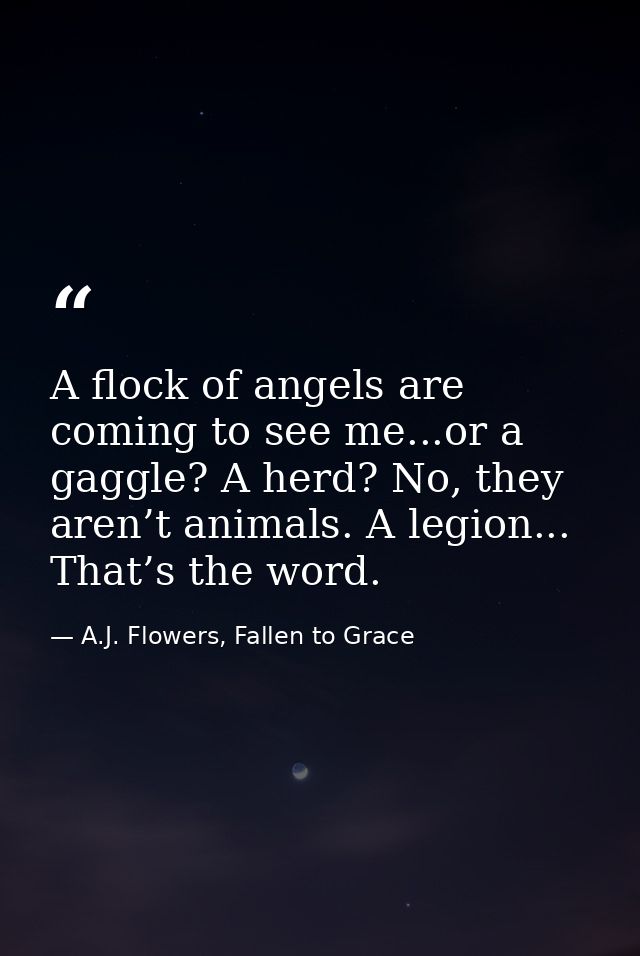 A flock of angels are coming to see me...or a gaggle? A herd? No, they aren’t animals. A legion... That’s the word. — A.J. Flowers, Fallen to Grace