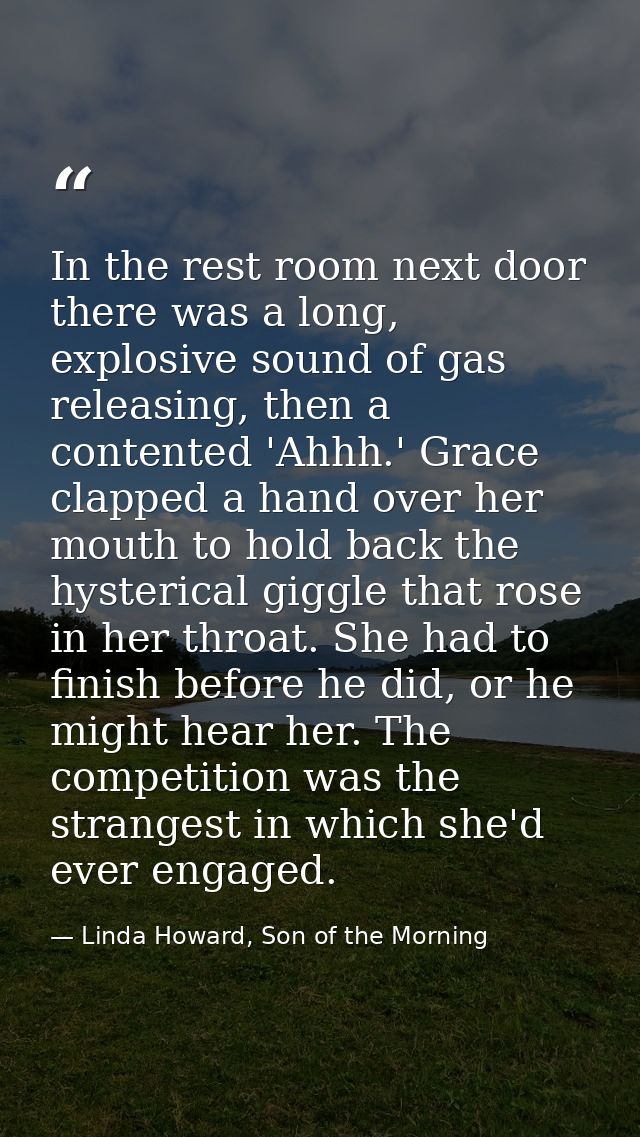 In the rest room next door there was a long, explosive sound of gas releasing, then a contented 'Ahhh.' Grace clapped a  — Linda Howard, Son of the Morning