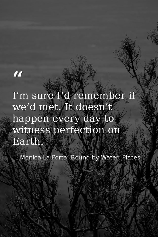 I’m sure I’d remember if we’d met. It doesn’t happen every day to witness perfection on Earth. — Monica La Porta, Bound by Water: Pisces