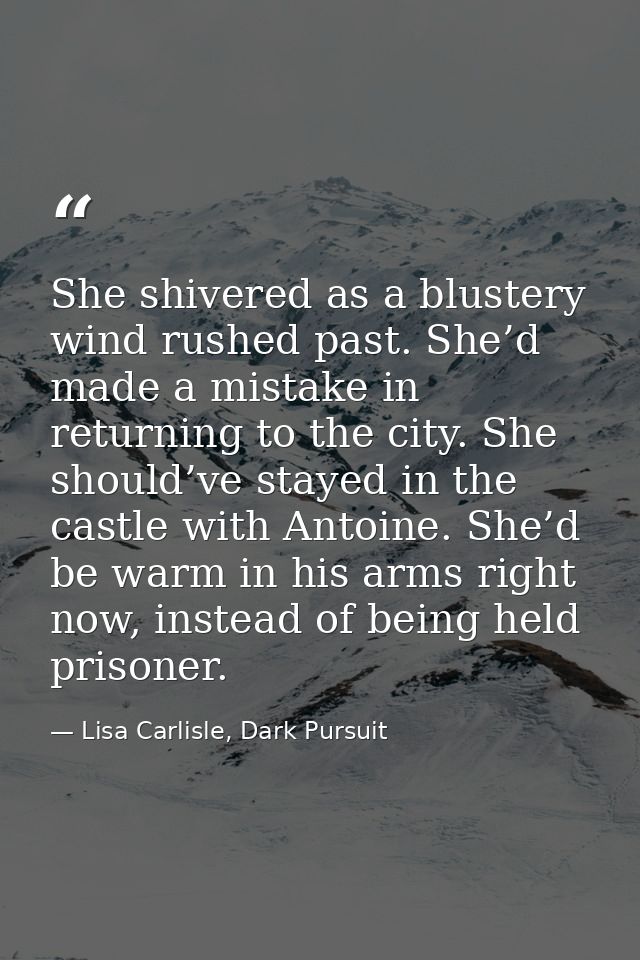 She shivered as a blustery wind rushed past. She’d made a mistake in returning to the city. She should’ve stayed in the  — Lisa Carlisle, Dark Pursuit