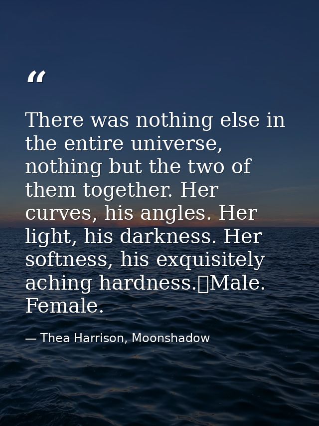 There was nothing else in the entire universe, nothing but the two of them together. Her curves, his angles. Her light,  — Thea Harrison, Moonshadow
