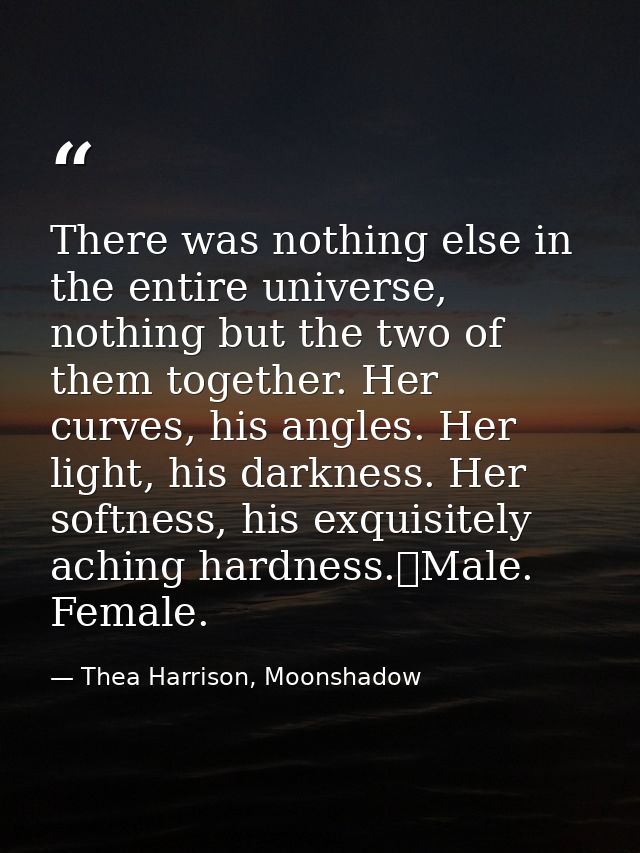 There was nothing else in the entire universe, nothing but the two of them together. Her curves, his angles. Her light,  — Thea Harrison, Moonshadow