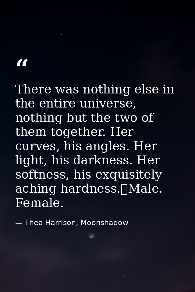 There was nothing else in the entire universe, nothing but the two of them together. Her curves, his angles. Her light,  — Thea Harrison, Moonshadow