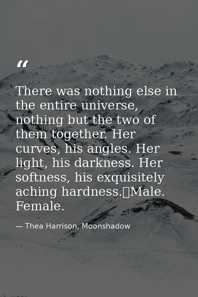 There was nothing else in the entire universe, nothing but the two of them together. Her curves, his angles. Her light,  — Thea Harrison, Moonshadow