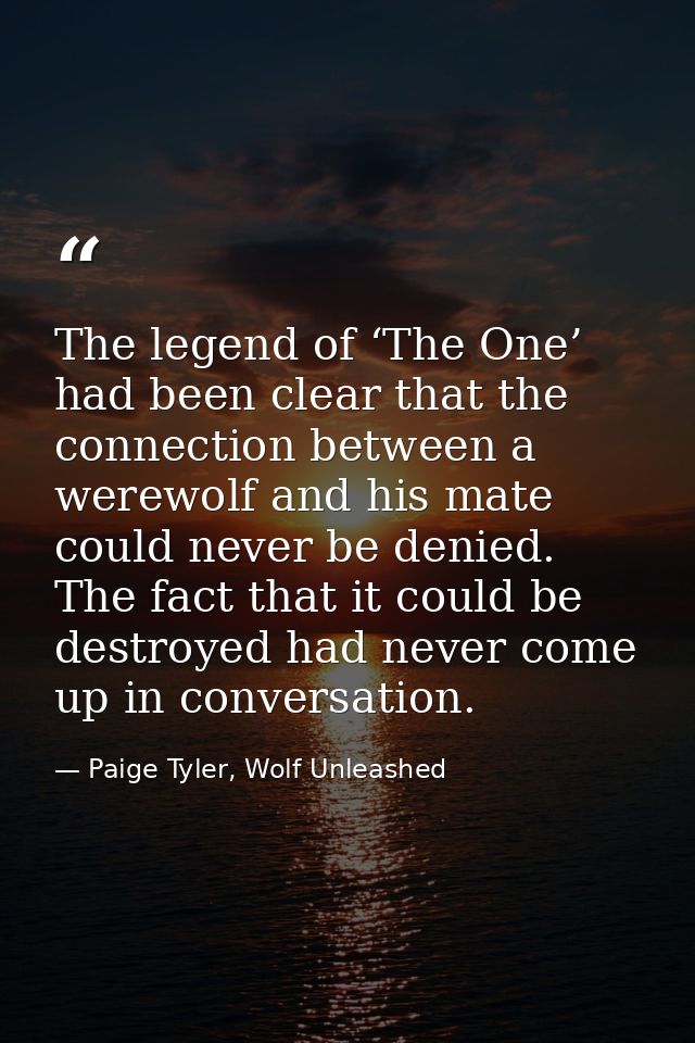 The legend of ‘The One’ had been clear that the connection between a werewolf and his mate could never be denied. The fa — Paige Tyler, Wolf Unleashed