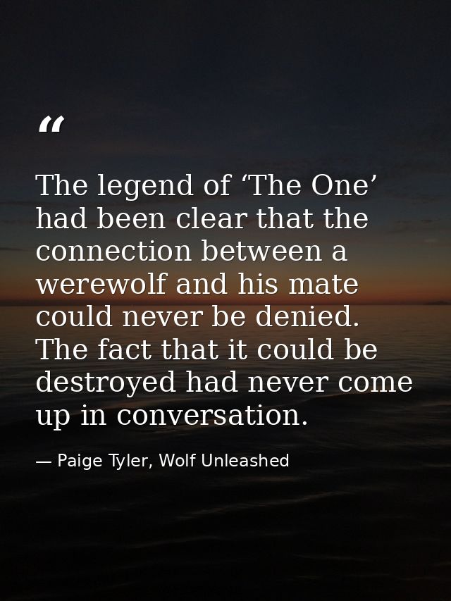 The legend of ‘The One’ had been clear that the connection between a werewolf and his mate could never be denied. The fa — Paige Tyler, Wolf Unleashed